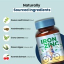 zeroharm-iron-zinc-folic-acid-vitamin-b1-612QCIhtrcL.jpg