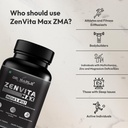 zenvita-max-zma-supplement-tablets-with--71cICBBiphL.jpg