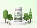 anoopam-ayurveda-anuplast-tablet-promote-61-g+euySfL.jpg