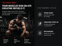 complete-muscle-building-bundle-whey-pro-51vSjLHa4PL.jpg
