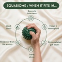 equabiome-stress-smart-probiotics-gut-br-71CNP3RYGXL.jpg