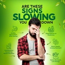 jeena-sikho-detox-combo-for-liver-gut-he-71F-oopS0QL.jpg