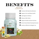 detox-capsule-natural-body-detox-digesti-812RGvJsm2L.jpg