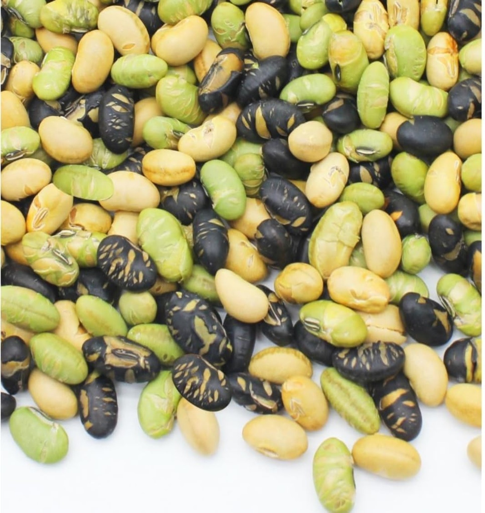 nature-prime-protein-beans-high-protein--61viRZ7W5bL.jpg