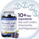 dr-kleins-naturally-calm-gummies-for-kid-2.jpg