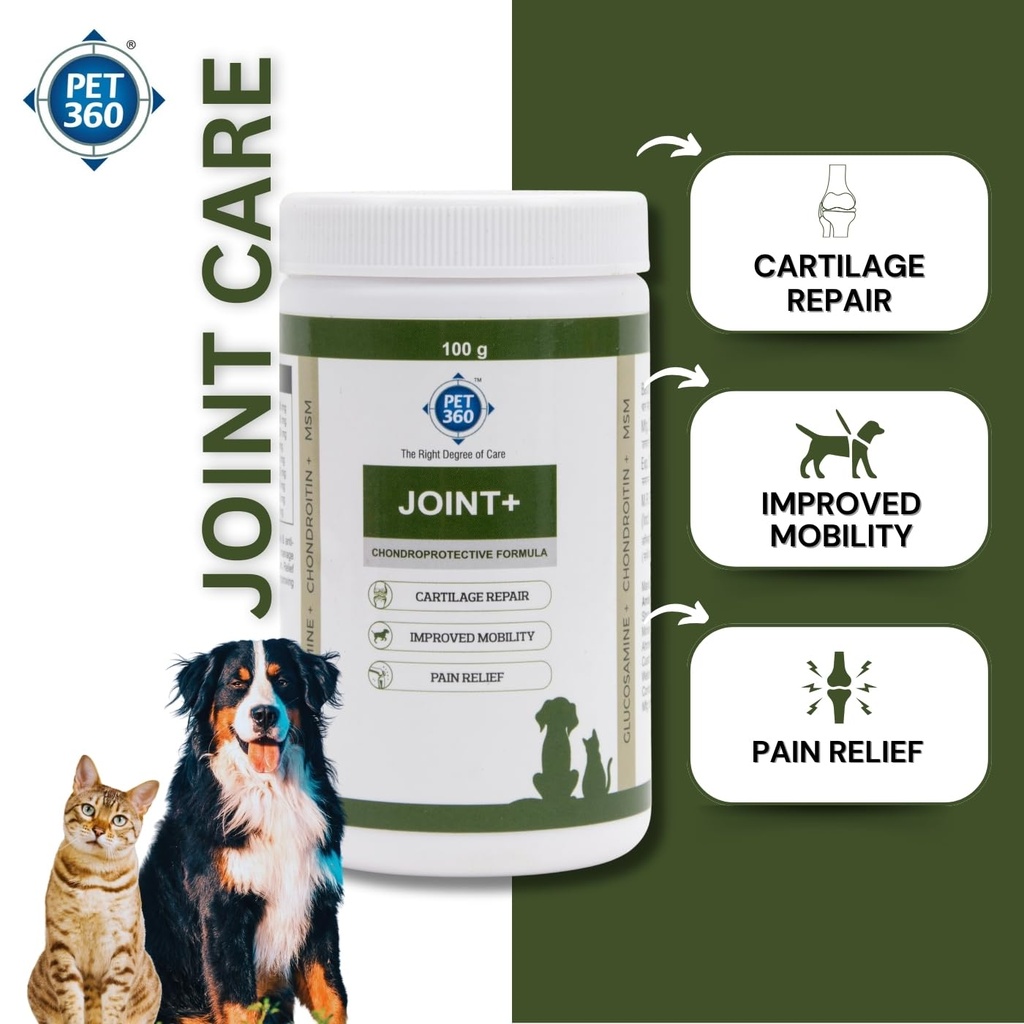 pet360-joint-100-gms-hip-joints-cartilag-6123NFLKFXL.jpg