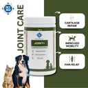 pet360-joint-100-gms-hip-joints-cartilag-6123NFLKFXL.jpg