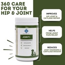 pet360-joint-100-gms-hip-joints-cartilag-61L9+Z6b4SL.jpg