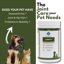 pet360-joint-100-gms-hip-joints-cartilag-71m33VzBBcL.jpg