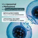 miduty-liposomal-b-complex-methylated-vi-71rk45T76vL.jpg