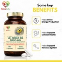 vitamin-b2-riboflavin-high-potency-suppo-61D4OO9scXL.jpg