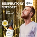 wild-organic-mullein-drops-2-oz-immune-s-2.jpg