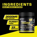 denzour-nutrition-pure-micronised-creati-81Mh+5XXZZL.jpg
