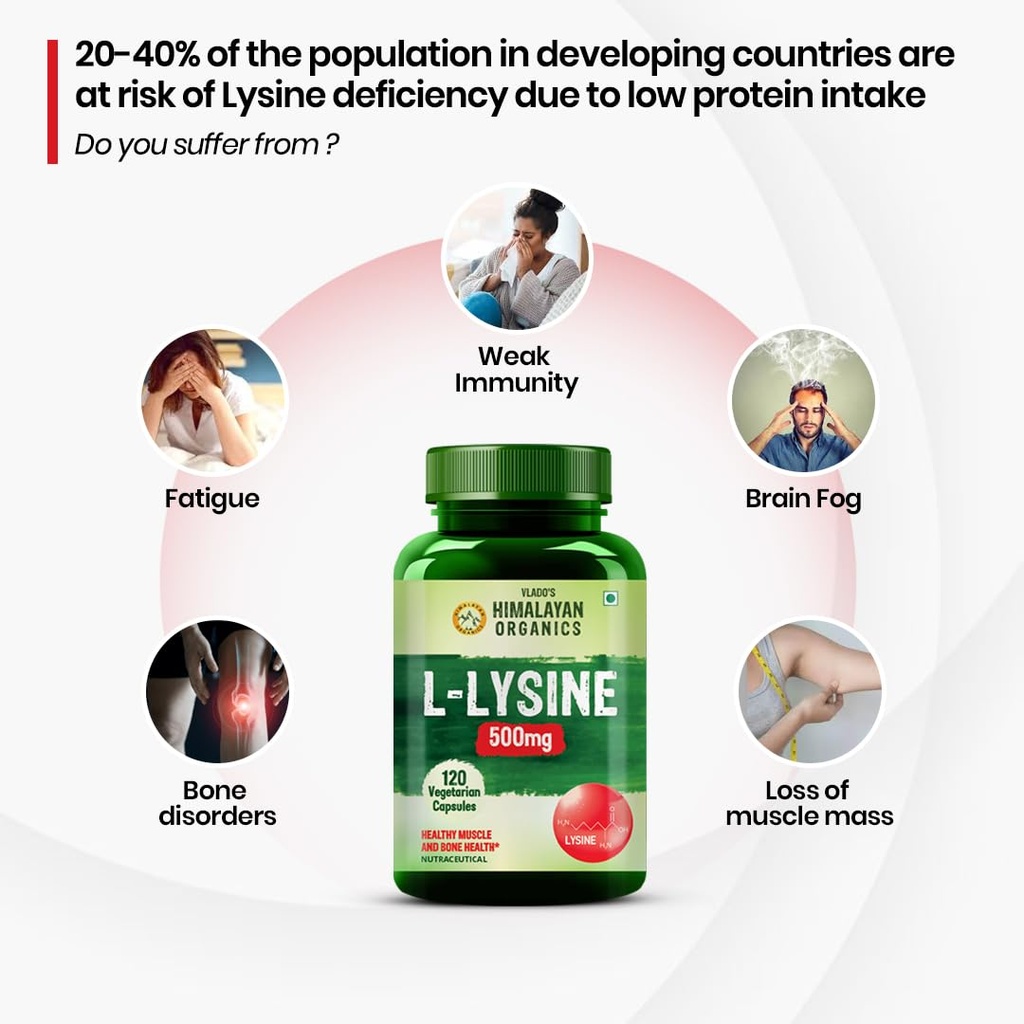 vlado-s-himalayan-organics-l-lysine-500m-61J4IvT+yeL.jpg