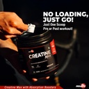 neulife-creatine-max-100-250g-81-serving-61cGIFlHdYL.jpg