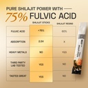 ace-blend-shilajit-sticks-5-servings-wit-611xpxAiLdL.jpg