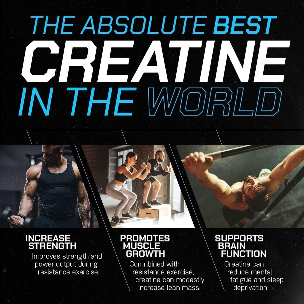 creatine-creatine-supplement-for-muscle--71oOkV5XWvL.jpg