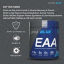 alphablue-bcaa-eaa-amino-acids-supplemen-61luSlhlghL.jpg