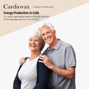 vokin-biotech-natural-cardiovax-with-coe-61X0v5v0IfL.jpg