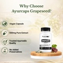 grapeseed-capsule-500-mg-60-capsule-61puUFzq5ML.jpg