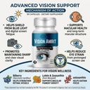 vision-amrit-vision-support-capsules-eye-81blLwRSheL.jpg