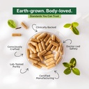 green-aura-blueberry-antiox-capsules-30--71CV+Ci62sL.jpg