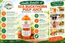 himnectar-himalayan-sea-buckthorn-pulp-c-81GqbrnBnTL.jpg