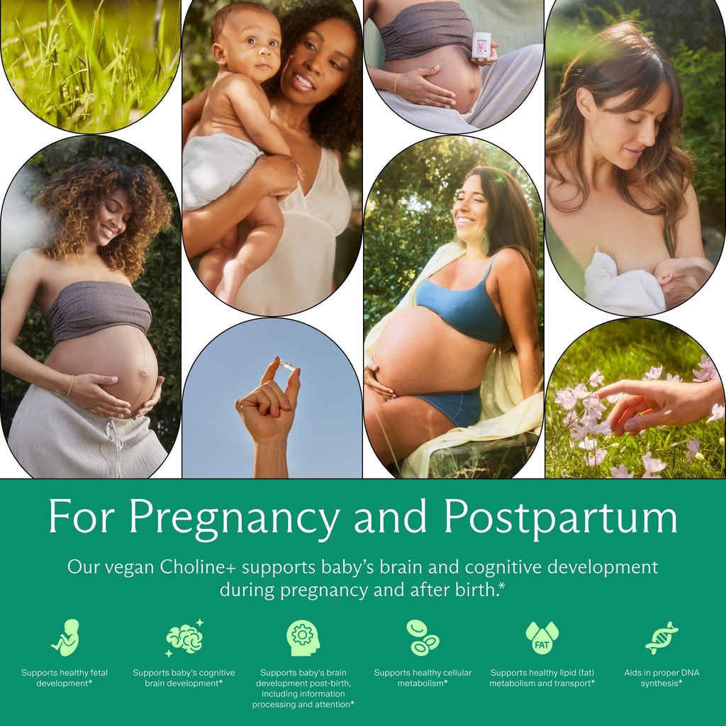 needed-prenatal-choline-for-cognitive-de-81sKf9jTkRL.jpg