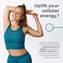 neurogan-luteolin-supplement-tablets---2-4.jpg