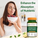 pure-nutrition-digestive-enzymes-840mg-w-716OtW1c6SL.jpg