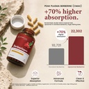 sugar-fit-berberine-supplements-1000mg-l-61h9BTKNSSL.jpg