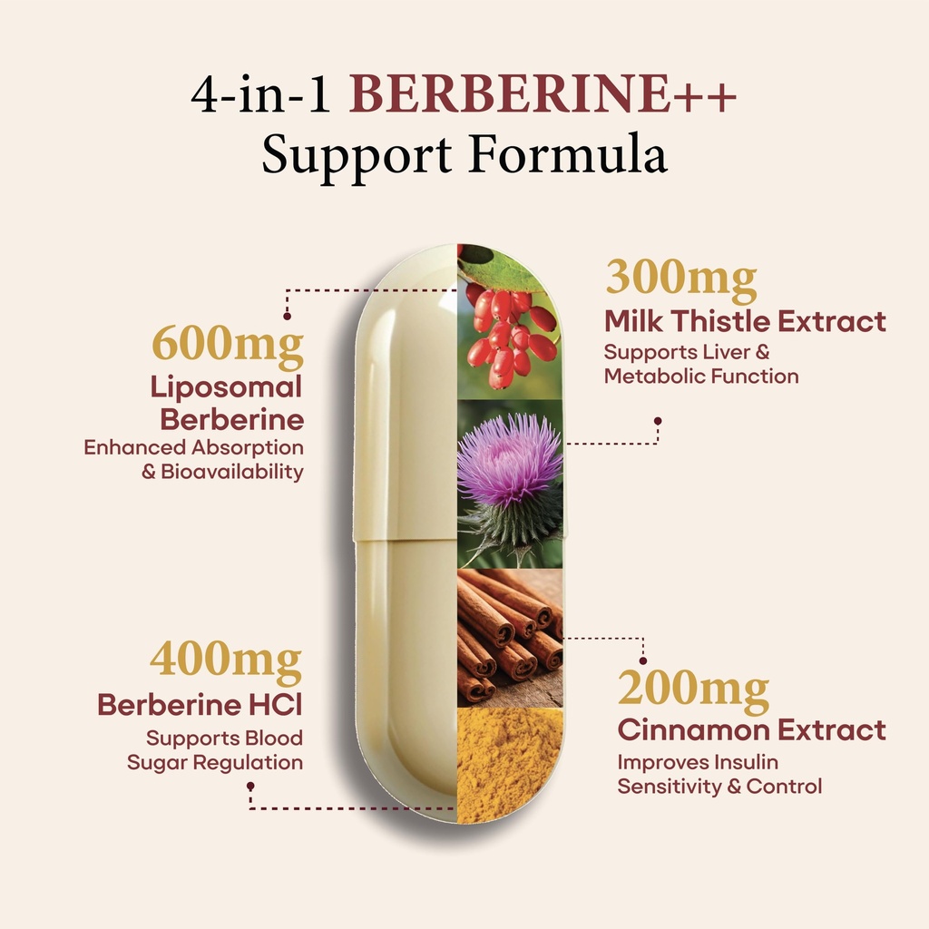 sugar-fit-berberine-supplements-1000mg-l-81UZrgjx+ML.jpg