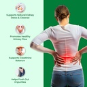 zeroharm-holo-kidney-detox-herbal-creati-61UzEE2vXEL.jpg
