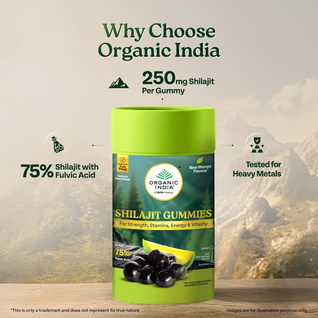 a-tata-product-organic-india-shilajit-gu-81yHt9u3EnL.jpg