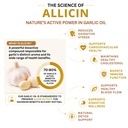 neat-everyday-garlic-oil-capsules-allici-71Q383pNd+L.jpg