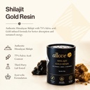 allove-shilajit-gold-resin-20g-400mg-per-71k3dxG9rJL.jpg