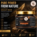 shilajit-resin-purified-himalayan-shilaj-81lQlTbBu-L.jpg