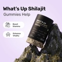 what-s-up-wellness-shilajit-shilajeet-gu-61tpX+EliOL.jpg