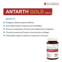 antarth-gold-for-advanced-healthy-joint--61GfKxUebZL.jpg