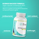 active-garlic-extract-5-allicin-60-veg-c-610apTwbbeL.jpg