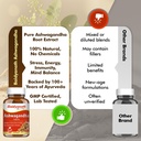 baidyanath-ayurved-ashwagandha-tablets-6-71dEo4zawFL.jpg