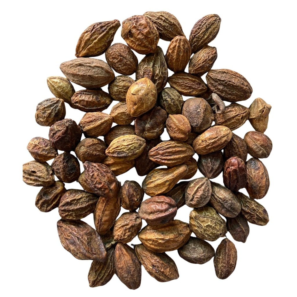 harad-sabut-raw-100-g-harar-haritaki-for-713XdP-JZoL.jpg