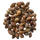 harad-sabut-raw-100-g-harar-haritaki-for-713XdP-JZoL.jpg