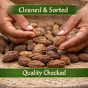 badi-harad-haritaki-whole-200g-premium-q-71PWEBihaPL.jpg