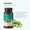 merlion-naturals-haritaki-tablets-termin-81QdVzZMEZL.jpg