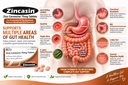 zincasin-leewell-zinc-l-carnosine-tablet-71dCDm+6wvL.jpg
