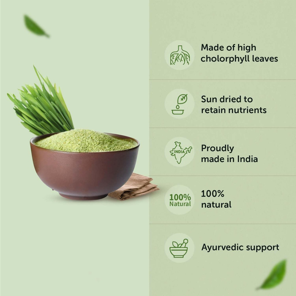 neuherbs-wheatgrass-powder-100g-wheat-gr-61AZXly9x3L.jpg