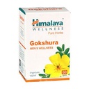 himalaya-confido-tablets-60-counts-himal-61weMdvg3tL.jpg