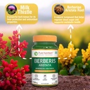 pure-nutrition-berberis-aristata-supplem-81zb8jzQJGL.jpg