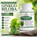 ginkgo-biloba-800mg-capsules-herbal-gink-71ak2DLUNtL.jpg